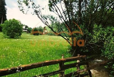 TEREN DE VANZARE 34.201m²/20€ m² IN VARSAG HARGHITA - 15