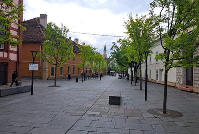 Apartament cu 2 camere semidecomandat, mobilat în Central