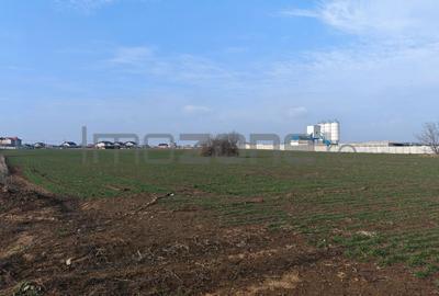 Dragomiresti Valea - Langa Centura, teren 31.200 mp, 35E/mp - 2