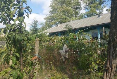 Casa de vânzare sat Stuhulet, comuna Berezeni, Jud. Vaslui - 2