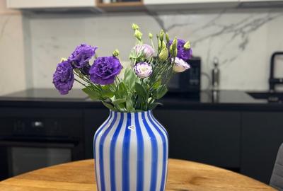 Apartament 2 dormitoare Aleea Cornisa UMF etaj 1 - 8