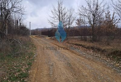 1644mp teren intravilan pentru constructii, Barnova. - 4