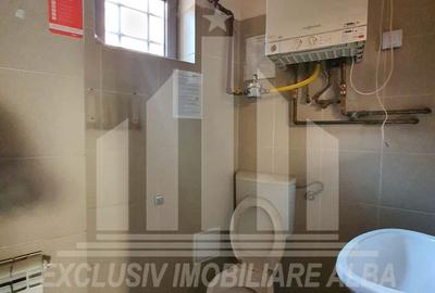 Spatiu comercial | De inchiriat | 100 mp | Cetate - 3