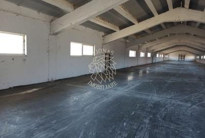 2 Hale 1000 mp si 900 mp-teren 3400 mp-oportunitate-Livezile - 4