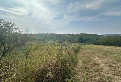 Teren Construcții intravilan de 1579 mp, în Săldăbagiu de Munte