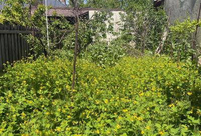 Casa 5 camere, caramida, garaj, pivnita — Cantacuzino, Ploiesti - 13