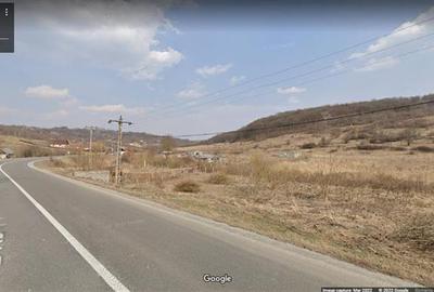 Stejaru - Scorteni stradal 814mp + 2882 mp extravilan - 1