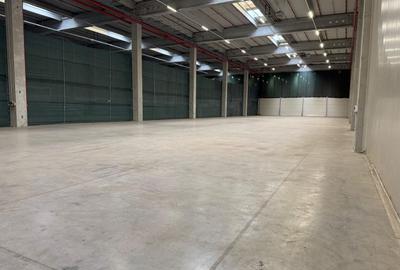 Hală suprafețe disponibile 1.000-40.000mp - 2