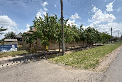 Casă 4 camere, Teren 1955 mp Str. Vezendiului Nr. 366 - Loc. Petrești, Satu Mare - 20
