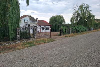 UNITATE DE ABATORIZARE ȘI TRANȘARE DE INCHIRIAT - 9