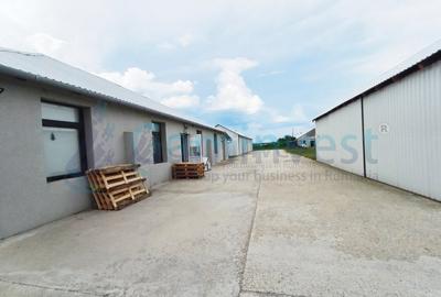 Hala de vanzare cu exclusivitate, la 24 km de Oradea, in Salard, Bihor - 11