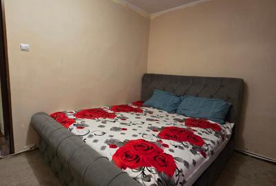 Apartament 2 camere parter imbunatatit mobilat Adjud - 10