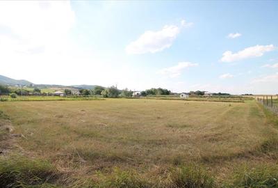 Teren 3000 mp intravilan - Sarata - 7