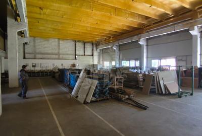 HALA PRODUCTIE/DEPOZITARE//BIROURI//ZONA DEDEMAN/BEREASCA - 5