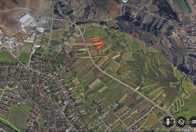 Teren 5096 mp extravilan Oncea/Episcopia Oradea - 1