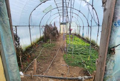 Comision zero vând casa nouă la Biled - 7