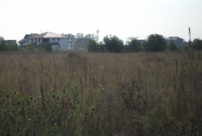 Teren 1,25 ha intravilan - 2
