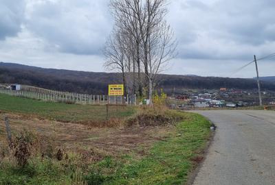 Loc de casa la Stancesti - 1