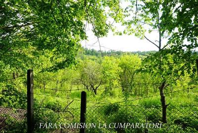 ZONA SUPERBA - TERENURI DE VANZARE - 28