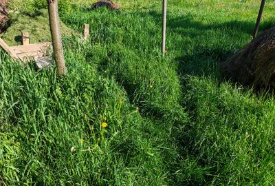 Teren rezidential intre case zona Mihai Eminescu - 6