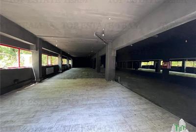 De inchiriat spatii comerciale, hale si birouri - 3