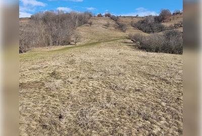 Teren de exceptie 3,1 ha intravilan | Panorama, utilitati, acces dublu | Sard - 2