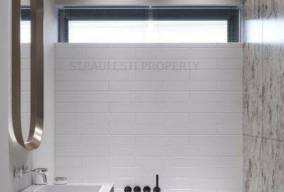 STRAULESTI 66