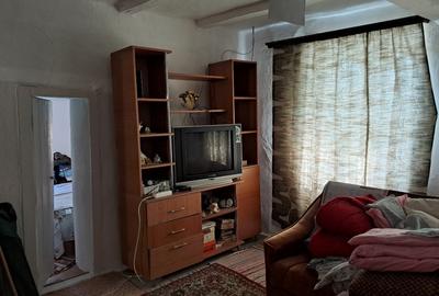 Valcani, proprietate cu casa taraneasca - 4