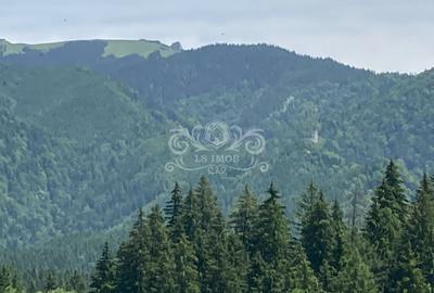 Vand teren intravilan Predeal, Timisul de Sus ideal obiective turistice - 8