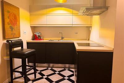 Apartament 2 camere de inchiriat Herastrau Nordului - 13
