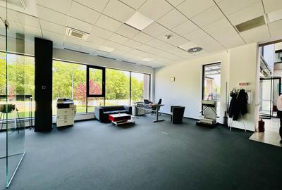 Spațiu de Birouri Modern – 220 mp Open Space | Parcul Tehnologic Tetarom I - 5