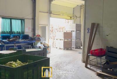 Hala industrială de vanzare Arad 540 mp, depozitare la rece, acces TIR - 4