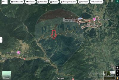 Teren Lepsa Soveja DN2 L - 1