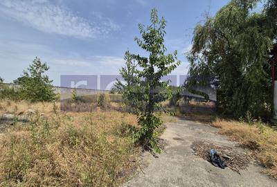 De vanzare teren industrial in Calarasi/Belciugatele - 10