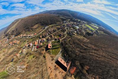 Proprietate pretabila pentru afacere, Cladova - 39