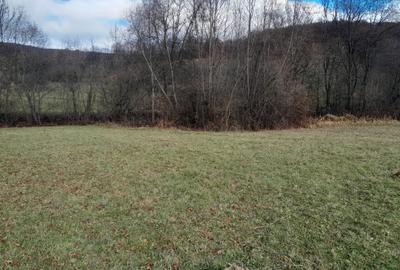 Teren Intravilan Ideal Pt Casa de Vacanta ,Valea Dobarlaului - 5