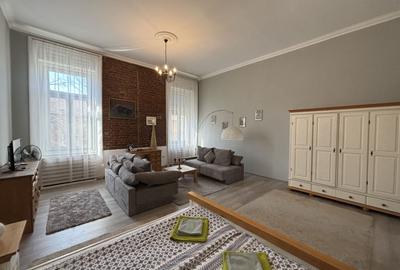 Apartament cu o camera în clădire istorică ,zona Maria - 8