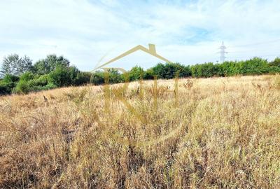 Teren de vânzare – 11.273 mp – zona Plopi, Timișoara Sud. - 2