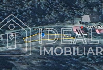 Teren intravilan 1.113 mp – deschidere la DN7C și Râul Bâlea – Cârțișoara - 2