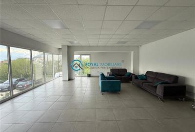 Royal Imobiliare - Inchiriere spatiu industrial zona Tantareni - 9