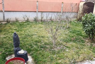 CASA INDIVIDUALA cu garaj LA PRET DE APARTAMENT. Plata esalonata. - 27