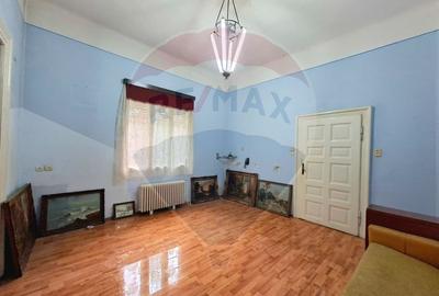 Proprietate centrală Arad,  cotă teren mare, acces auto - 10