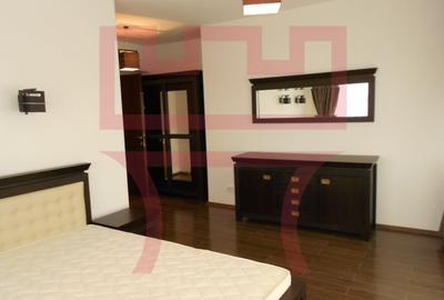 Inchiriere apartament 4 camere recent renovat in Plopilor Vest + garaj - 13