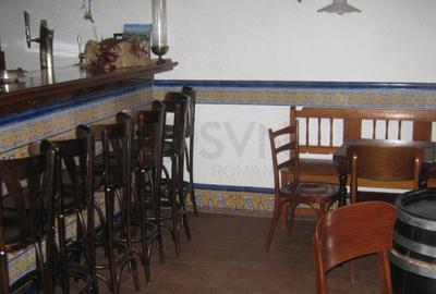 REV0005661 Vila renovata - zona Cismigiu - 18