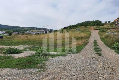 Teren Construcții intravilan de 1347 mp, în Cetate