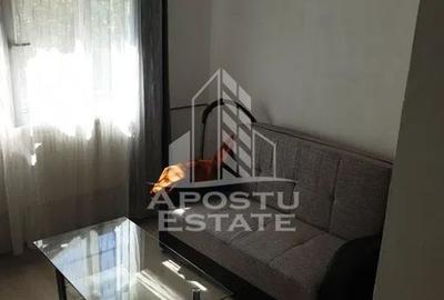 Garsoniera de 22 mp in zona Buziasului, etajul intai, ideal investitie - 2