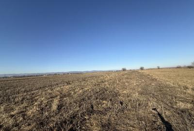 Teren extravilan | Rădăuți | 600 m de centură | 20 m front - 3