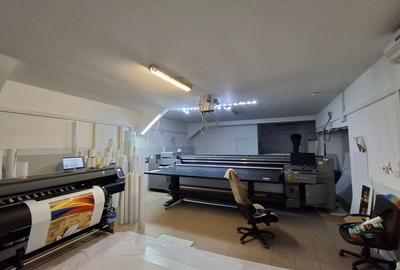 Spatiu depozitare/productie zona Giurgiului /Luica 500 mp - 16