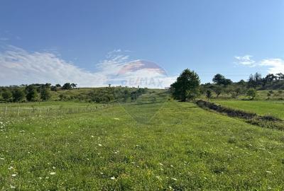 Teren 8,300mp Negresti (Dobreni) / Drumul DEALUL OTEL - 2