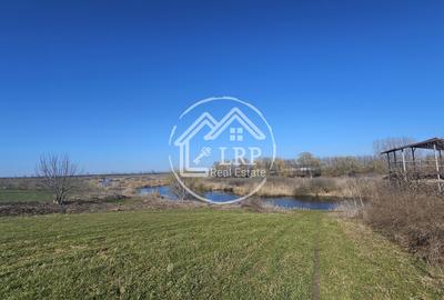 Loturi de Casa pe malul Lacului Creața, Dascălu – 460 mp + Drum servitute - 9